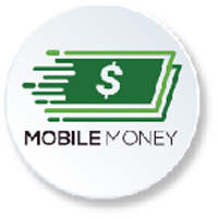 Mobile Money Platform Page Icon